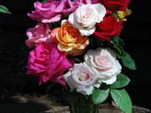 DSC_4786 070715 Roses.JPG