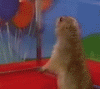dpd.gif