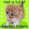 Retarded-kittens.jpg