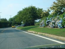 DSC00809.JPG