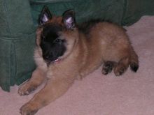 Pict0132.jpg