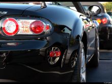 DSC_4518.jpg