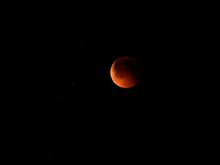 Blood Moon(web).jpg