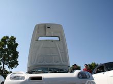 IMG_9459.JPG