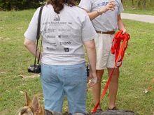 DSC01217 (Medium).JPG