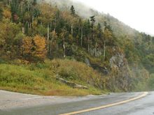 IMG_1395.jpg