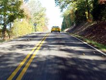 DSC01322crop (Medium).jpg