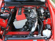 IMG_2987-(Medium).jpg
