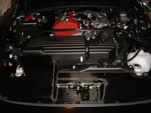 DSC01677_2.JPG