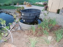 Pond Makeover 2008-03-04_11.jpg