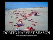 doritos.jpg