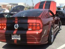 DSC01254.JPG
