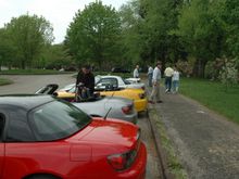 Cars.jpg