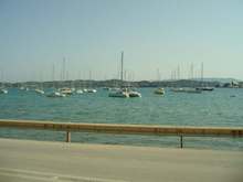 IMG_0300.jpg
