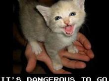 ap_dangerous_takethis.jpg