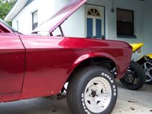 mustang pics 002.JPG