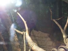 100_1371.jpg