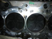 DSCN0103.JPG