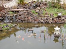 yard 2006c.jpg