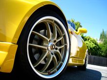 IMG_1017.jpg