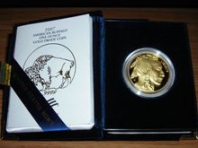2007 Buffalo.jpg