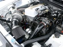 IMG_5926.JPG