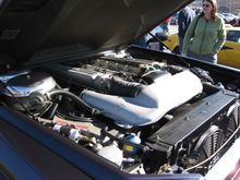 IMG_0045.JPG