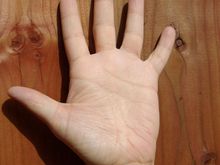 hand.jpg