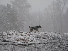 IMG_1506.JPG