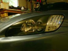 IMG_0907 (Medium).jpg