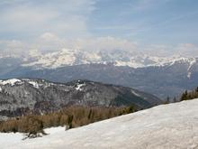 IMG_0154 (Large).jpg