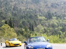 IMG_0175 (Large).jpg