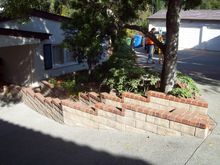 pics16 010.jpg