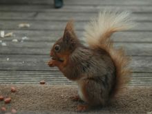 DSC_2130.JPG