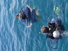 Scuba in water