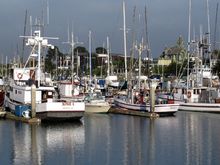 14 harbor.jpg