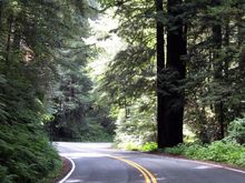 08 redwoods highway.jpg