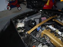 DSC_0003.jpg