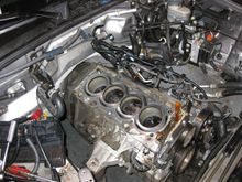 IMG_3064 copy.jpg