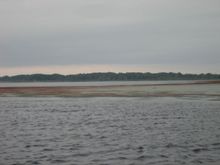 IMG_7936.JPG