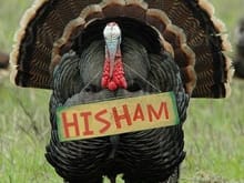 lo-thanksgiving_humor_eat_ham_turkey-810472.jpg