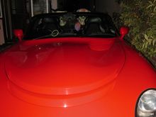hallowen 022.JPG