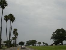 DSCN8194.JPG