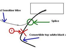 Where to cut.bmp