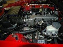 DSC_0056.JPG