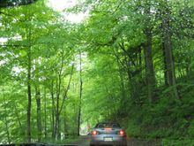 DSCN0045.JPG