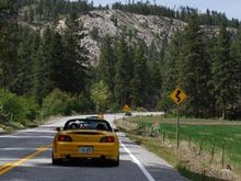 DSC_7381.jpg