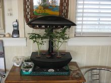 IMG_1392.JPG