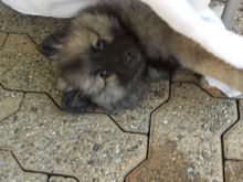 DSCN0416.JPG