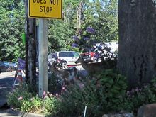 IMG_2407.JPG